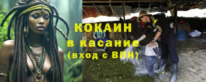 COCAIN Fish Scale  где продают   Купино 